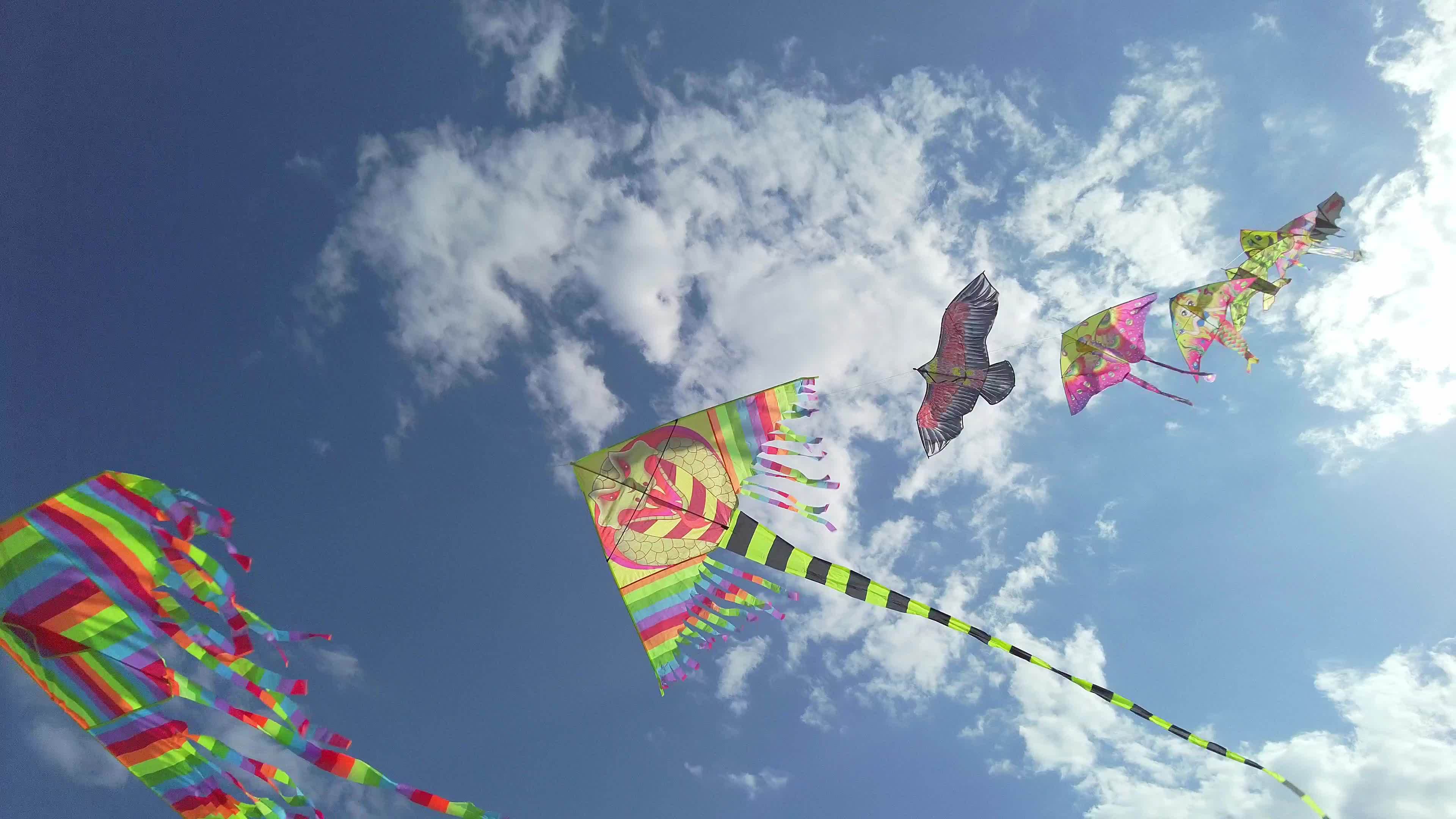 Kite Flying Stock Video Footage for Free Download Kite Flying Stock Video Footage for Free Download