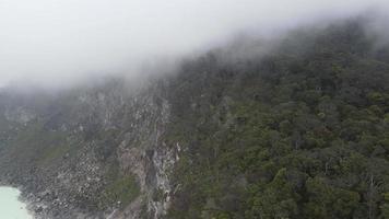 vista aerea del drone della foresta pluviale tropicale della nebbia nella valle, indonesia. video