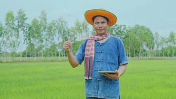 un agricultor asiático examina los campos de arroz en los campos. video