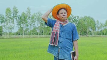 un agricultor asiático examina los campos de arroz en los campos. video