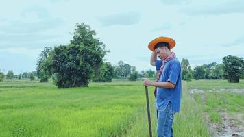 un agricultor asiático examina los campos de arroz en los campos. video