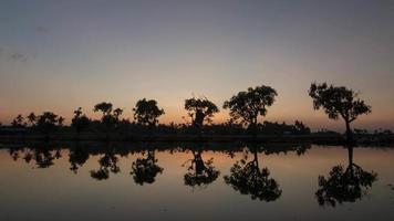 time-lapse ochtendstraal over de boom in het water video