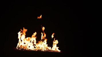tocha de fogo explosão queimando explosões 'fogueira de floresta, video