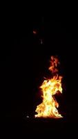 tocha de fogo explosão queimando explosões 'fogueira de floresta,
