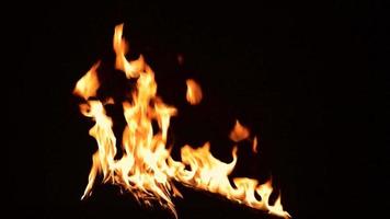 tocha de fogo explosão queimando explosões 'fogueira de floresta, video