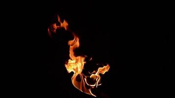 Fire torch burning blast explosions'  jungle fire campfire, video