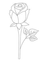Rose Flower Coloring Pages for Kids vector