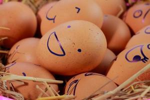 Emotion of fresh eggs  on a straw. photo