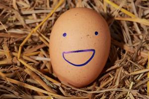 Emotion of fresh eggs  on a straw. photo