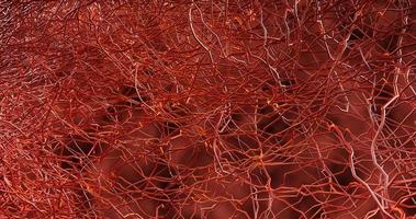 System many small capillaries branch out of the large blood vess photo