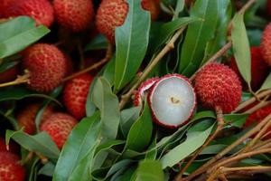 Lychee, Fresh lychee and peeled showing the red skin and white flesh with green leaf . photo