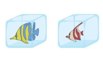 Ice cube in which fish is frozen vector