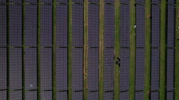 vista aérea superior da estação de energia solar, vista aérea superior da fazenda solar com luz solar, energia renovável, foto aérea da estação de energia solar video