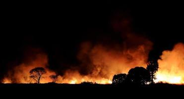 Bushfire burning orange and red smoke filled the sky at night. photo