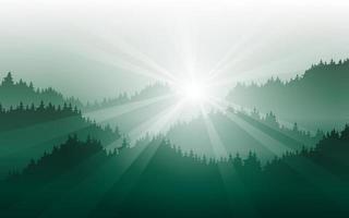 Nature abstract background with foggy pine forest and sunbeam