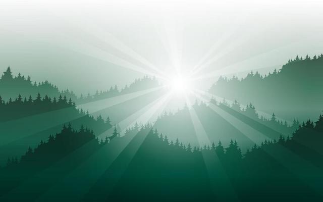Forest Background Vector Art, Icons, and Graphics for Free Download