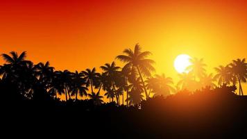Tropical sunset nature background with silhouette of palm trees and sunbeam over the trees