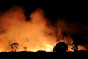 Bushfire burning orange and red smoke filled the sky at night. photo