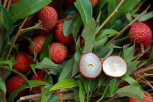 Lychee, Fresh lychee and peeled showing the red skin and white flesh with green leaf . photo