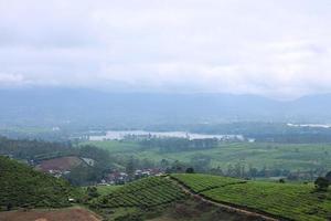 vista del paisaje del lago entre la plantación de té. foto