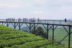 Bandung, Indonesia - May 23, 2022 Group of tourist at sky bridge of Nimo Highland Pangalengan Bandung, West Java, Indonesia. View of tea plantation, mountain and lake. photo