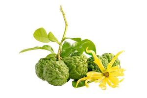 Fresh bergamot fruit or kaffir lime and leaf on white background with clipping path. photo