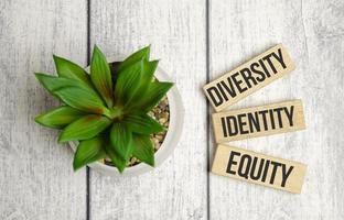 Diversity equity identity tolerance transparency words written on wooden block photo