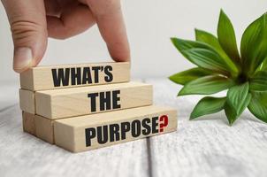 WHAT IS THE PURPOSE text on wooden block photo