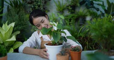 Vista frontal del retrato de una feliz joven jardinera asiática que busca plantar mientras está sentada en el jardín. vegetación doméstica, venta en línea y concepto de hobby.