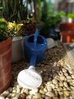 A lovely blue watering can in the garden in the morning. photo