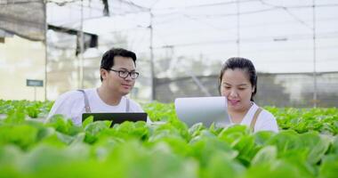 Front view, close up shot, Young couple working hydroponics farm, They examined the Green oak, woman checking list order on paper and young man checking on laptop computer. video