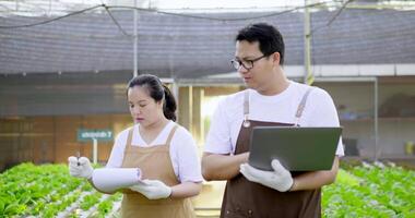 Front view, close up shot, Young couple walking in hydroponics farm, woman checking list order on paper and young man checking on laptop computer. video