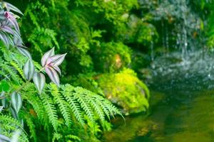 close up green garden with waterfall background photo