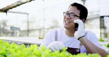 joven agricultor asiático hablando por teléfono móvil mientras revisa el roble verde fresco con feliz