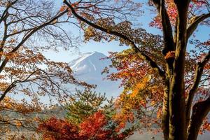 Mt. Fuji in autumn with red maple leaves photo