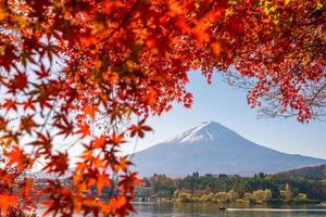 Mt. Fuji in autumn with red maple leaves photo