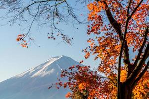 Mt. Fuji in autumn with red maple leaves photo