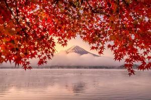 Mt. Fuji in autumn with red maple leaves photo