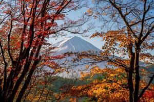 Mt. Fuji in autumn with red maple leaves photo