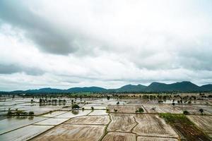 fondo de campos de arroz, en la temporada de lluvias, el agricultor prepara un espacio para plantar arroz con cielo y nubes foto