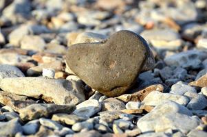 Heart shape stone against background of beach. Summer sunny day. Love, wedding and Valentine day concept. Finding beautiful and interesting stones. Beach vacation photo