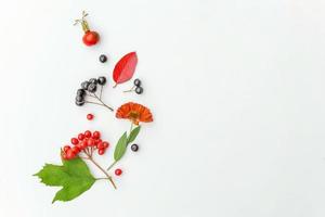 Autumn floral composition. Plants viburnum rowan berries dogrose fresh flowers colorful leaves isolated on white background. Fall natural plants ecology wallpaper concept Flat lay top view copy space photo