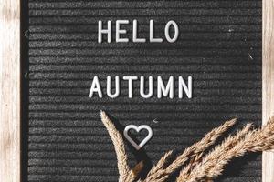 Autumnal Background. Black letter board with text phrase Hello Autumn and dried grass lying on white knitted sweater. Top view, flat lay. Thanksgiving banner. Hygge mood cold weather concept photo