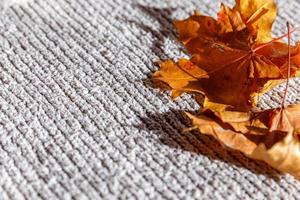 Autumnal Background. Dried orange fall leaves lying on white knitted sweater. Top view flat lay copy space. Thanksgiving banner. Hygge mood cold weather concept. Hello Autumn. photo