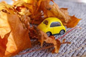 Autumnal Background. Yelllow toy car and dried orange fall maple leaves on grey knitted sweater. Thanksgiving banner copy space. Hygge mood cold weather delivery concept. Hello Autumn travel. photo