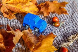 Autumnal Background. Blue toy car and dried orange fall maple leaves on grey knitted sweater. Thanksgiving banner copy space. Hygge mood cold weather delivery concept. Hello Autumn travel. photo