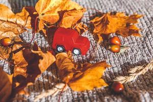 Autumnal Background. Red toy car and dried orange fall maple leaves on grey knitted sweater. Thanksgiving banner copy space. Hygge mood cold weather delivery concept. Hello Autumn travel. photo