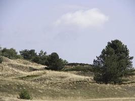 the island Spiekeroog in the north sea photo