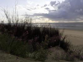 Spiekeroog island in germany photo