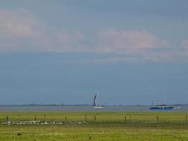 Juist island in the north sea photo